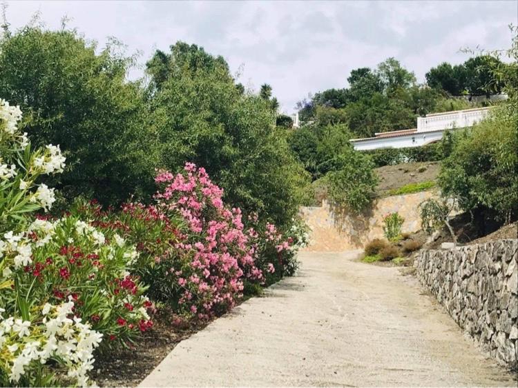 Casa Los Almendros Canillas de Albaida Buitenkant foto